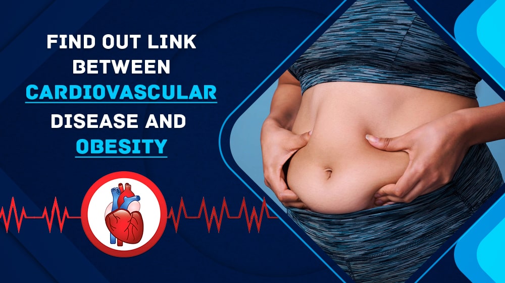 Find out the Link between Cardiovascular Disease and Obesity